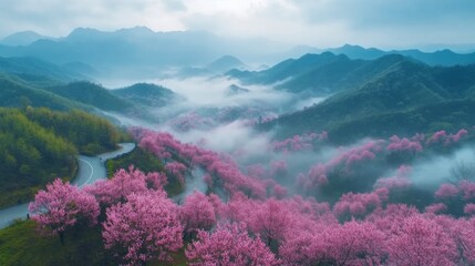 Vast mountain range covered with pink rhododendron flowers