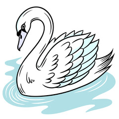 Professional Swan Illustration: White Bird, Detailed Feathers, Calm Water.