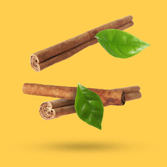 Cinnamon sticks and green leaves in air on orange background