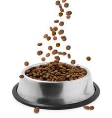 Dry pet food falling into bowl on white background