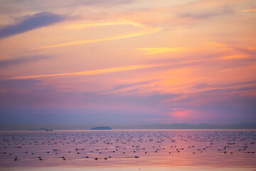 夕方の明石の海の風景