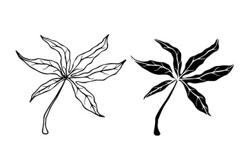 Line sketch, silhouette, stamp of leaves. Vector graphics.