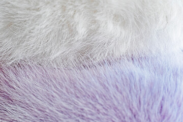abstract shaggy delicate background of fluffy light fur