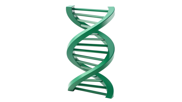 A 3D rendering of a DNA helix, the molecular structure of life, for genetic research in medicine and biotechnology