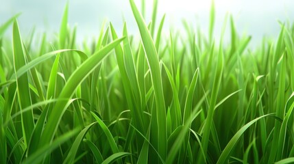 Discover the beauty of urban gardening with lush green papyrus plants, bringing life to city spaces in a vibrant way.