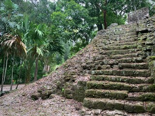 Side View of Pyramid Steps with Jungle in Background (Tikal, Guatemala)
