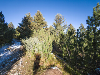 Landscape of Rila Mountain near Mechit peak, Bulgaria