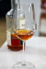 Tasting Sherry brandy wine in Jerez de la Frontera, Cadiz, Andalusia, Spain