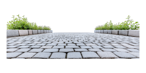 stone walkway in the park