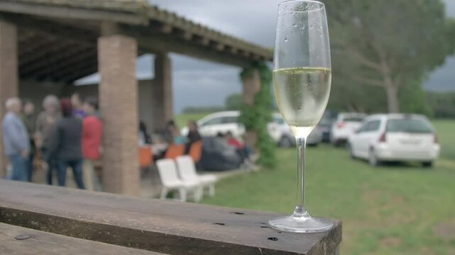 Glass of sparkling wine. Blurred background of people gathering in the countryside