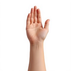 Obraz premium Realistic High Five Hand Gesture Isolated on White Background 
