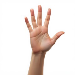 Realistic High Five Hand Gesture Isolated on White Background
