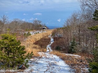 Snowy trail during winter (New York, USA)