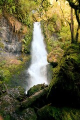 Waipohatu Falls - Breathtaking Waterfall in New Zealand's Wilderness
