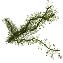 3D rendered wild green branch isolated on transparent background