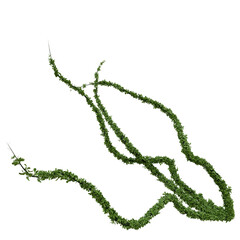 3D rendered wild green branch isolated on transparent background