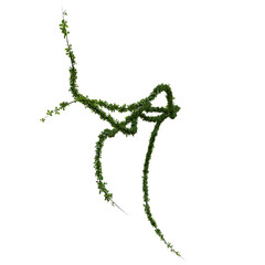 3D rendered wild green branch isolated on transparent background