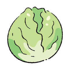 手描きのレタスのイラスト2