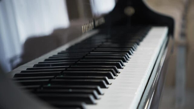 Harmony of contrasting piano keys reflects timeless design closeup. Polished keys gleam softly in window light captivating every onlooker