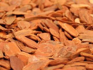 Closeup of polished pine bark nuggets. Different textures of pine bark mulch. Pine bark is an organic mulch used in gardening to benefit the plants.