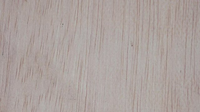 Rotating plywood texture surface background. Scratched wooden board. Close up of wood grain backdrop