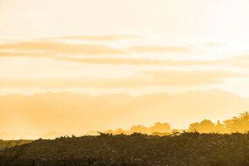 Obraz premium sunset in the field