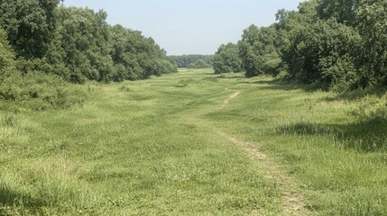 Fototapeta premium A narrow dirt path winds through a lush green grassy valley bordered by dense forest trees under a clear summer sky.
