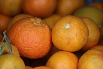 Fresh Tangerines Close Up