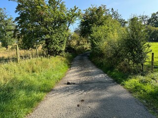 A narrow paved path winds through a lush, green landscape lined with trees and shrubs. Sunlight filters through the foliage, casting dappled shadows on the pathway on, Cam Lane, Elslack, Skipton, UK