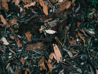 Tree bark on the ground