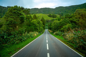 Long road on the island of flowers of the archipelago of the Azores