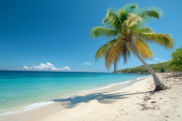 A serene beach scene with a palm tree, clear water, and a bright blue sky.