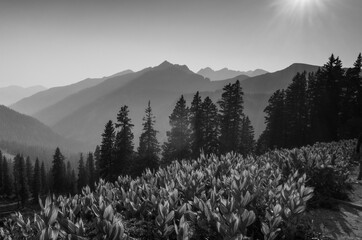 Smoky La Plata Mountains near Durango, Colorado, USA