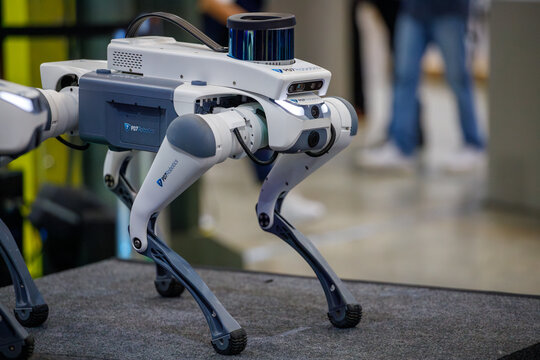 Robot dog at an exhibition in Rio de Janeiro, Brazil