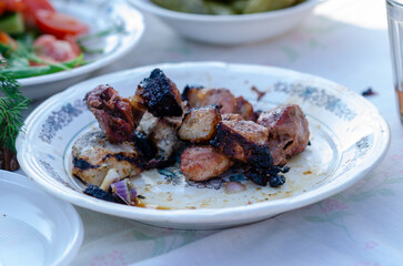 Grilled Meat Leftovers on White Plate