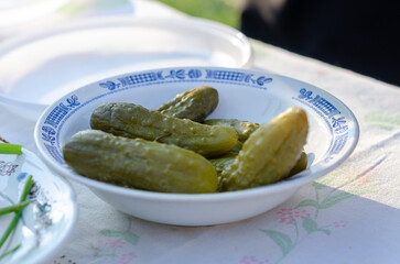 Pickled Cucumbers in a White Bowl on a Tablecloth