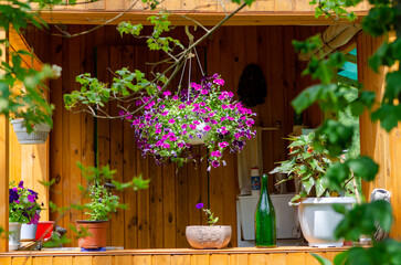Hanging Flowers on Wooden Porch