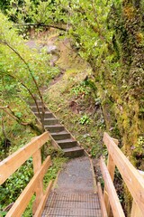 Path with Handrail and Staircase in the Woods