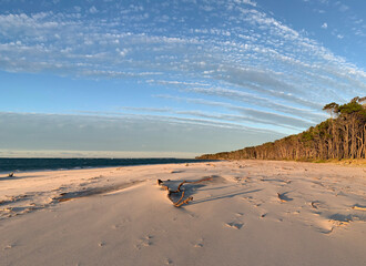 North Stradbroke Island, near Brisbane, Queensland, Australia