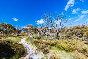 Porcupine Rocks Walk in Australia