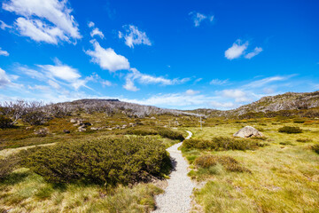 Porcupine Rocks Walk in Australia