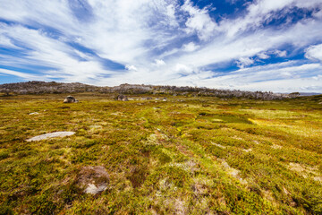 Porcupine Rocks Walk in Australia