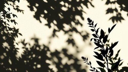 Abstract leaf shadows cast on a textured cement surface, botanical, minimalistic