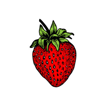 recommend clip art: strawberry fruit icon vectors illustration