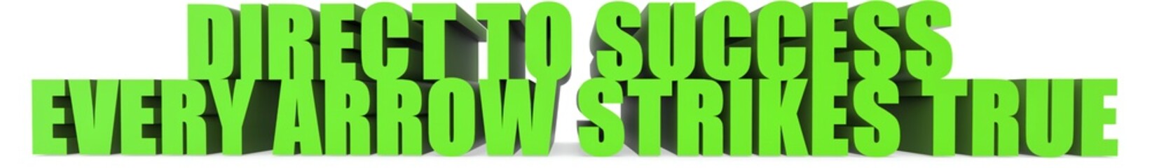 Direct to Success Every Arrow Strikes True, 3d text