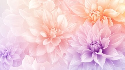 Obraz premium Pastel Dahlias Soft Petals Floral Background