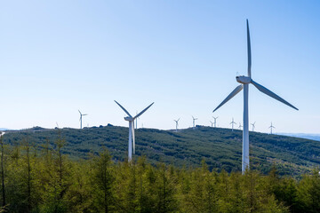 Wind turbines under the blue sky