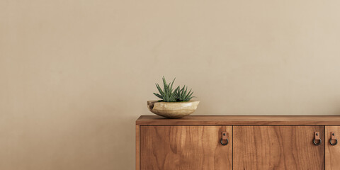 wallpaper mockup in Interior, a plant in a bowl on a dresser , empty beige wall, 3d rendering