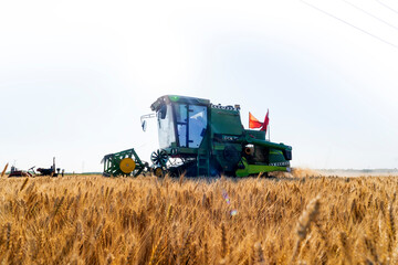 combine harvester working on a wheat field