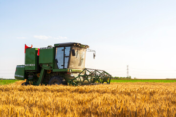 Fototapeta premium combine harvester working on a wheat field